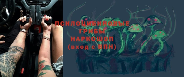 тгк Алзамай