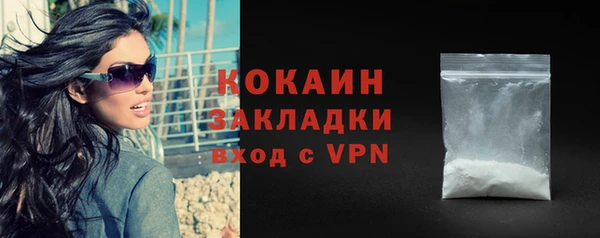 тгк Алзамай