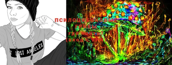 кокс Осташков