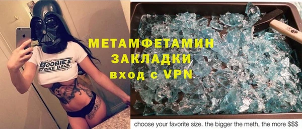 прущие грибы Абаза