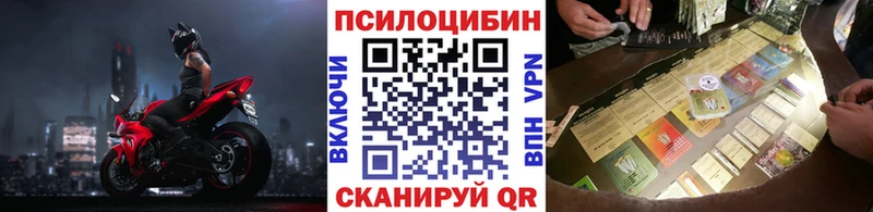 Галлюциногенные грибы прущие грибы  Новотитаровская 